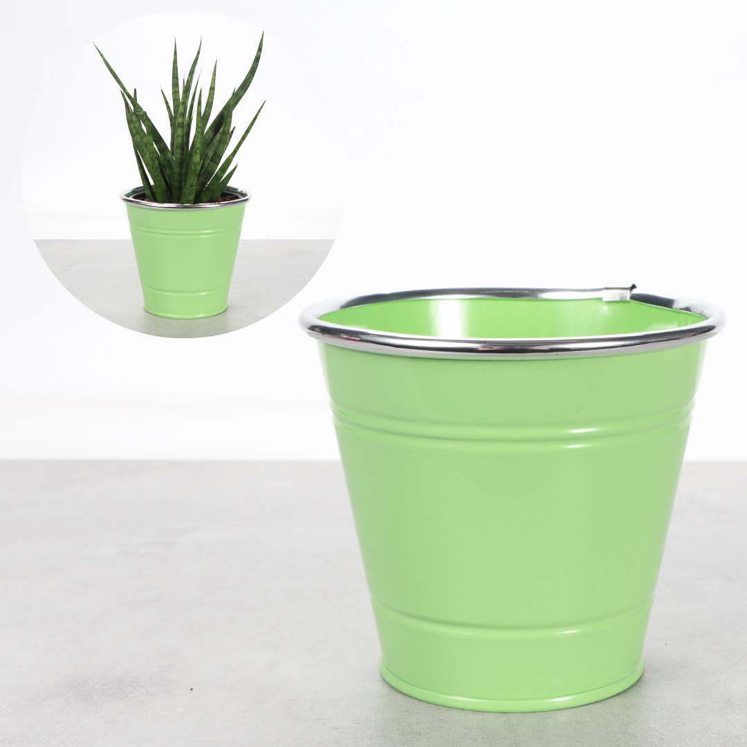 4" Solid Color Metal Pot Cover for Plants
