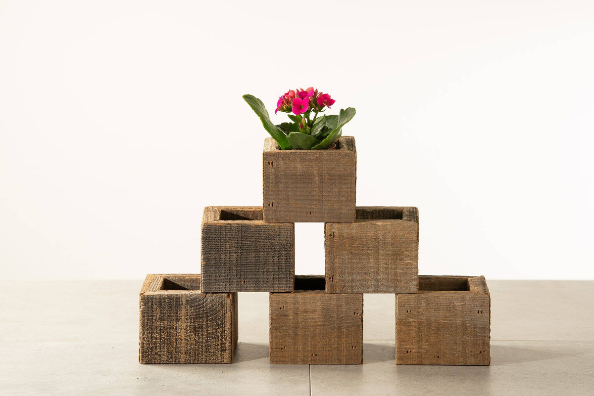 Reclaimed Wood Mini Square Planters / Favor Boxes