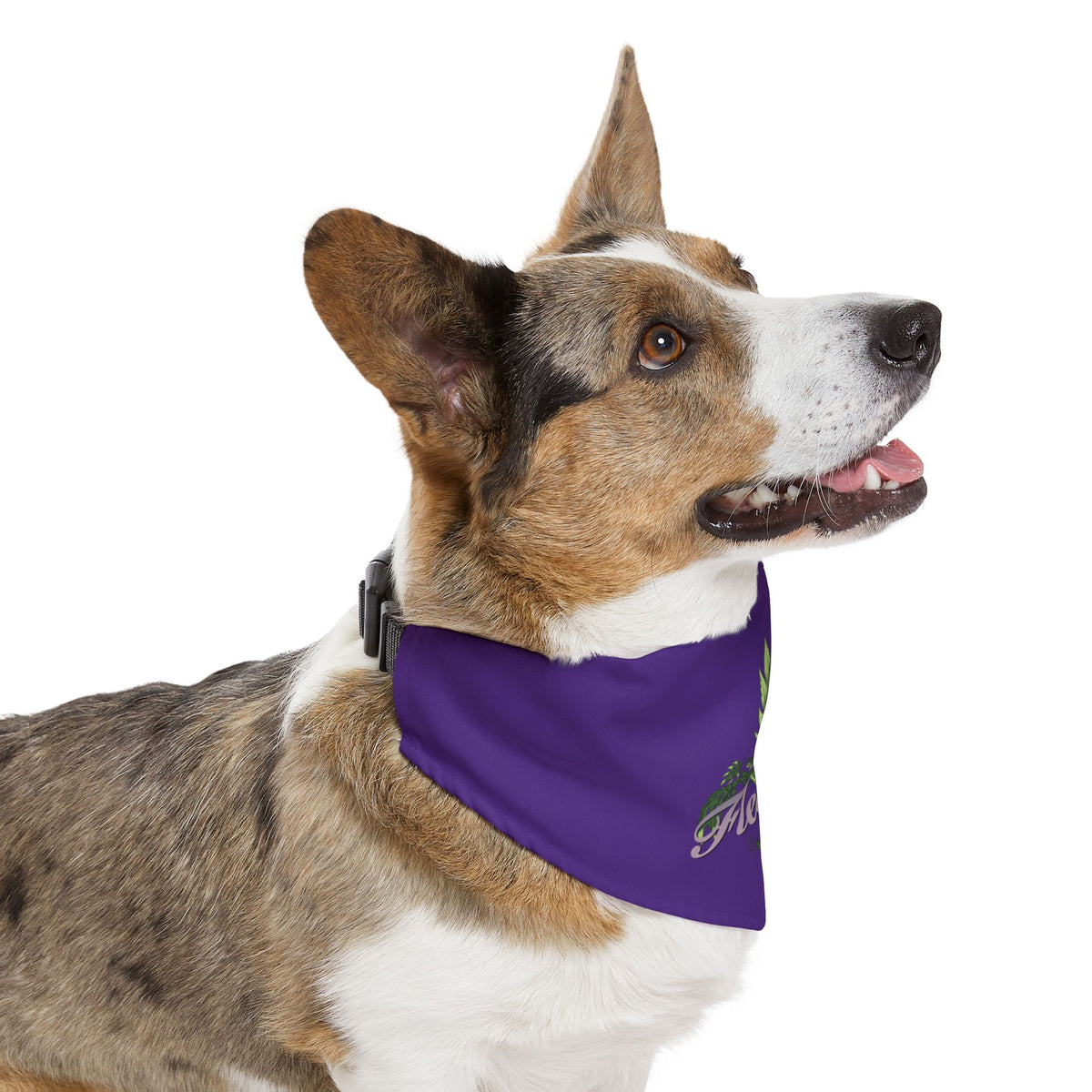 Fleurish Pet Bandana Collar