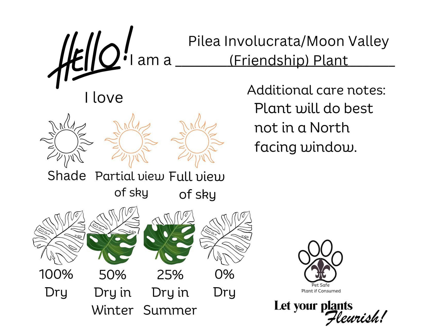 🐾Pilea 'Moon Valley' - 4" Pot