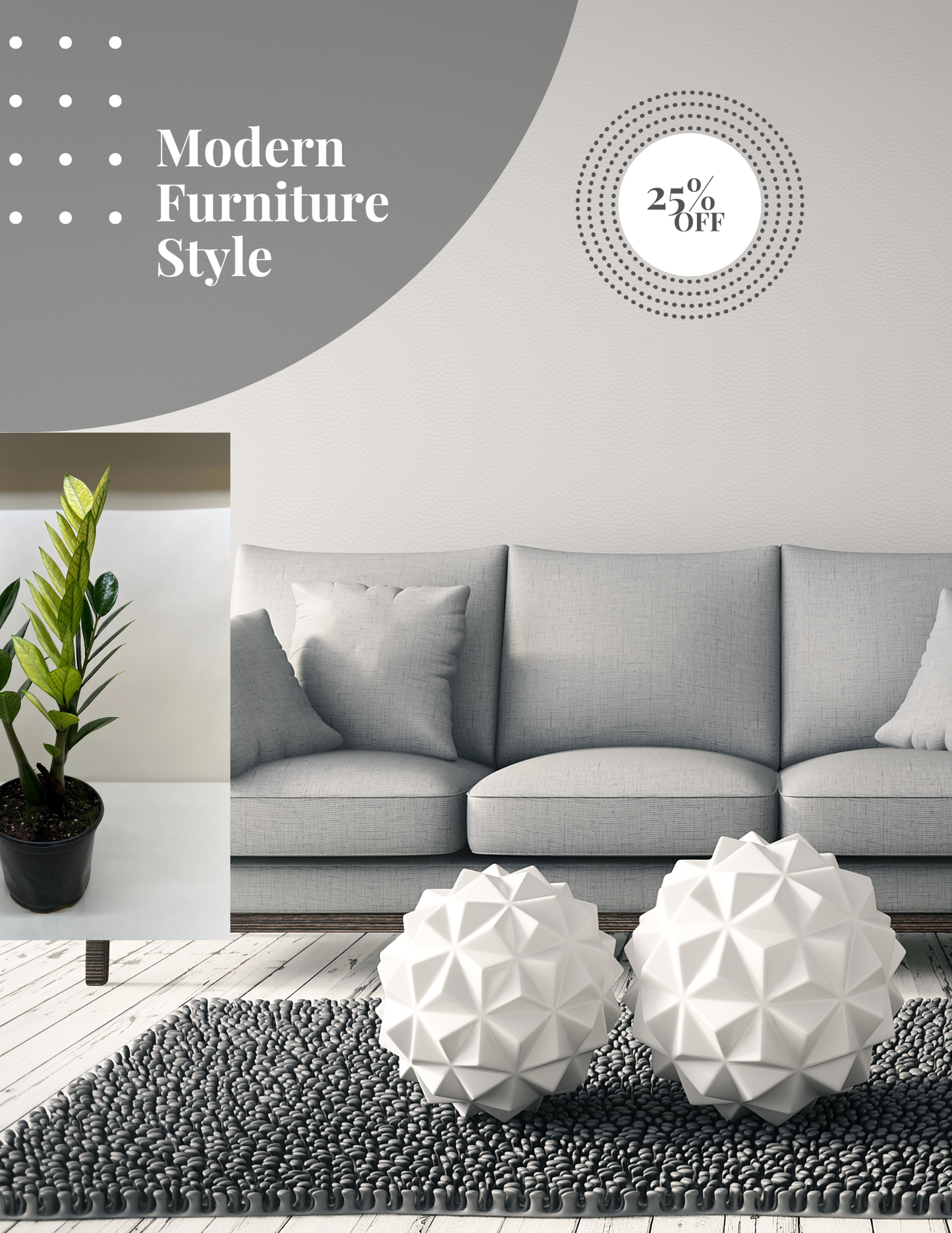 Zamioculcas 'Chameleon'