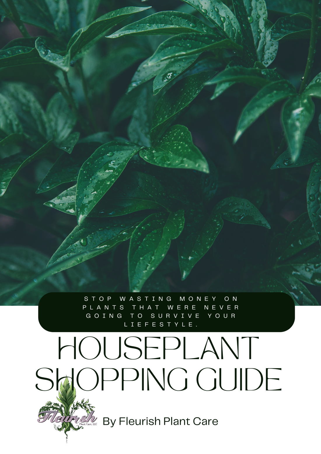 How To Shop For Houseplants: Get The Free Guide