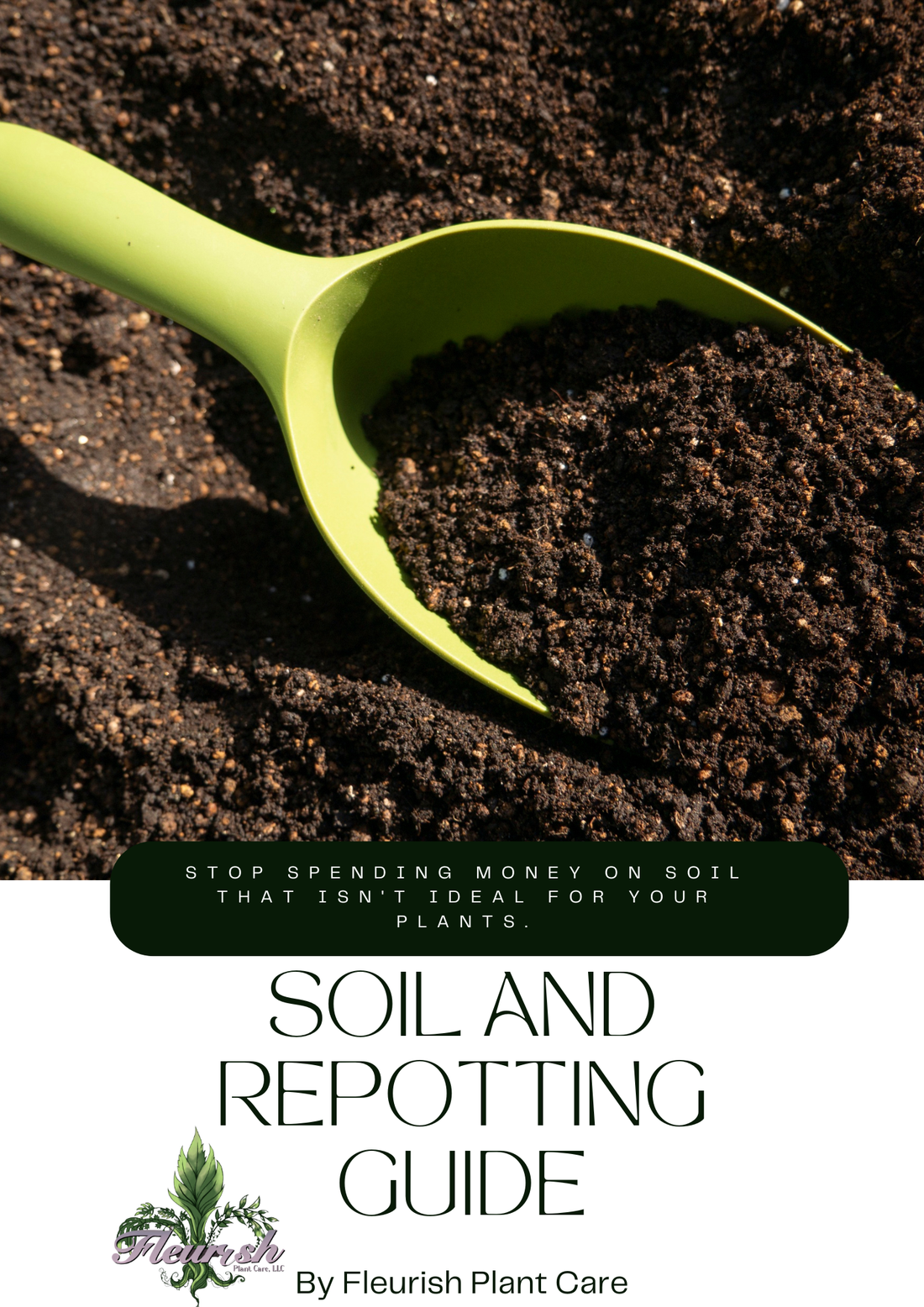 Soil and Repotting Guide
