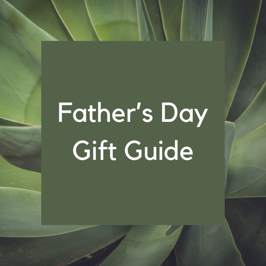 Father's Day Gift Guide 2026