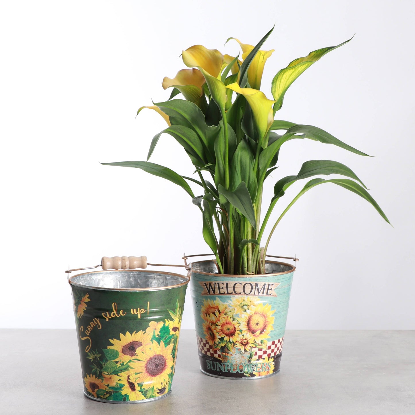 4" Sunflower Design Metal Pot for Houseplants - 2 Designs