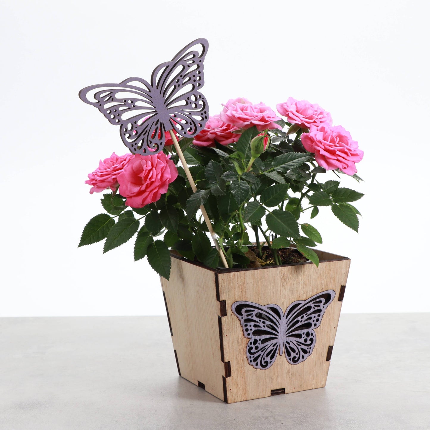 Butterfly Design Wooden Pot for Houseplants - 4" Size