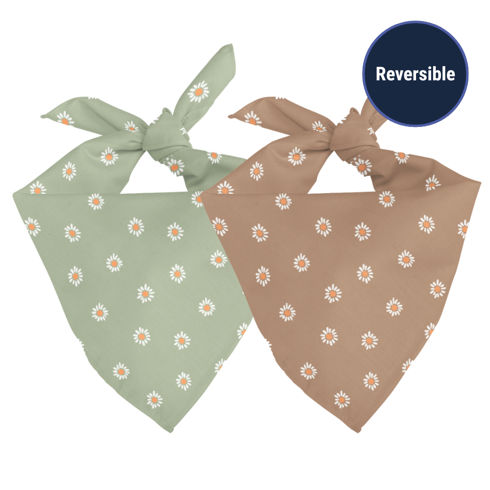Daisy Dog Bandana