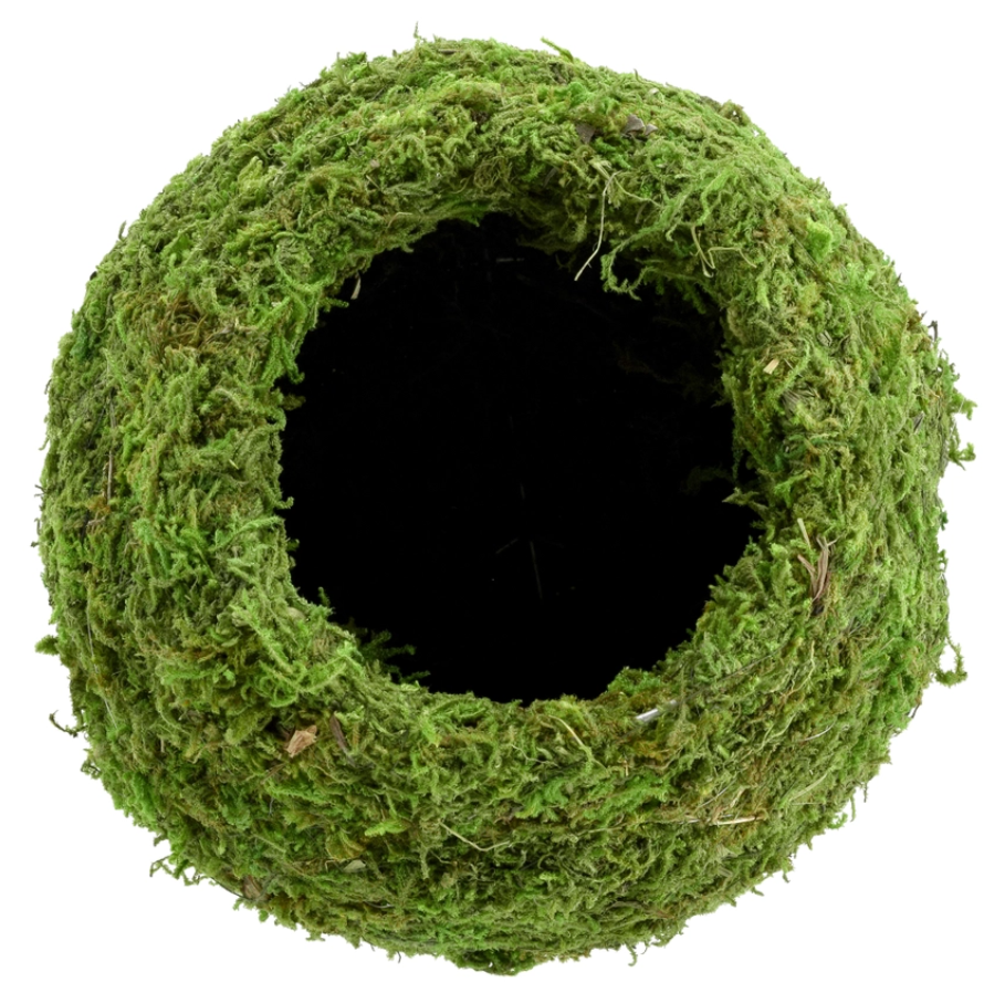Kokedama Pot for Houseplants