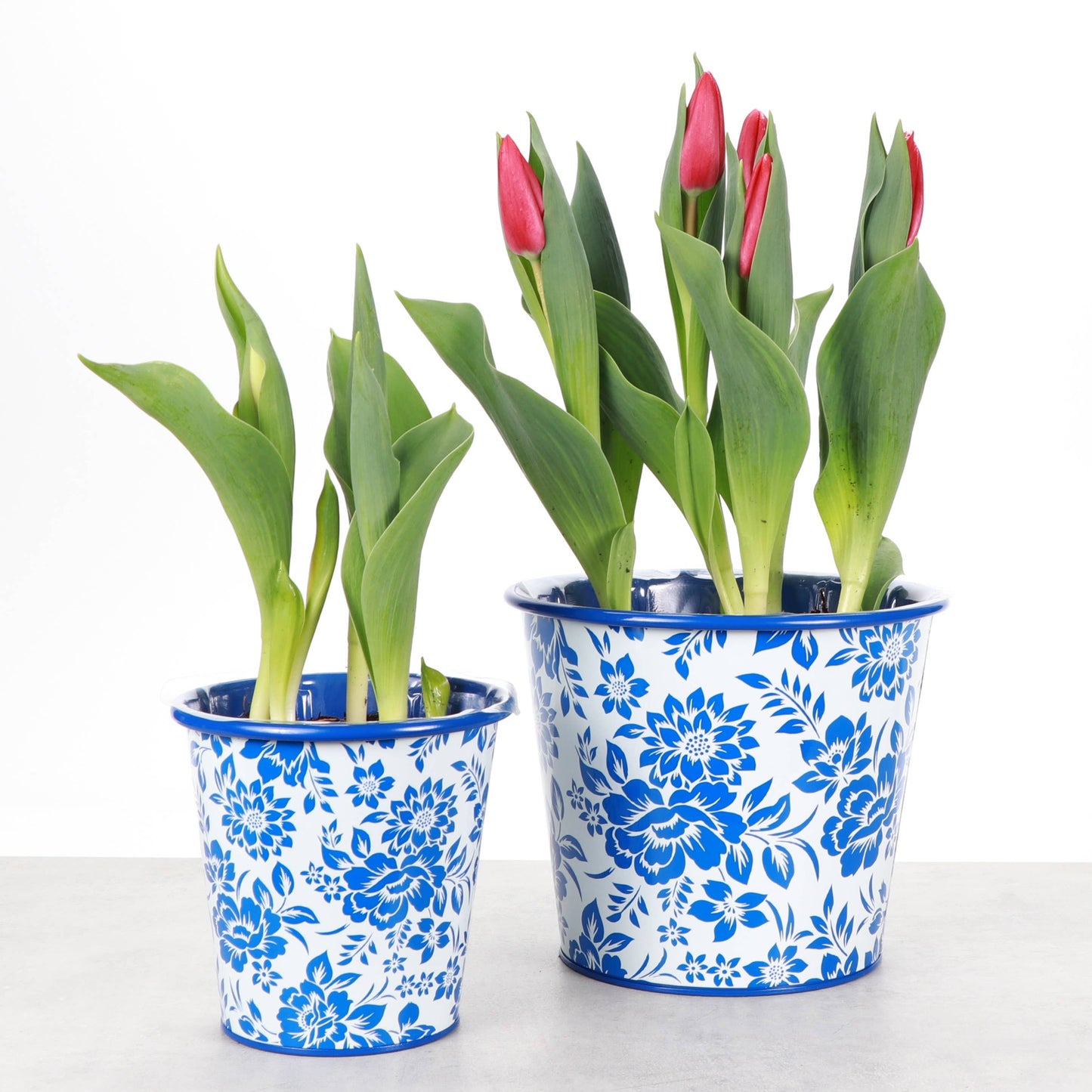 Delft Blue Design Metal Pot for Plants - 6"