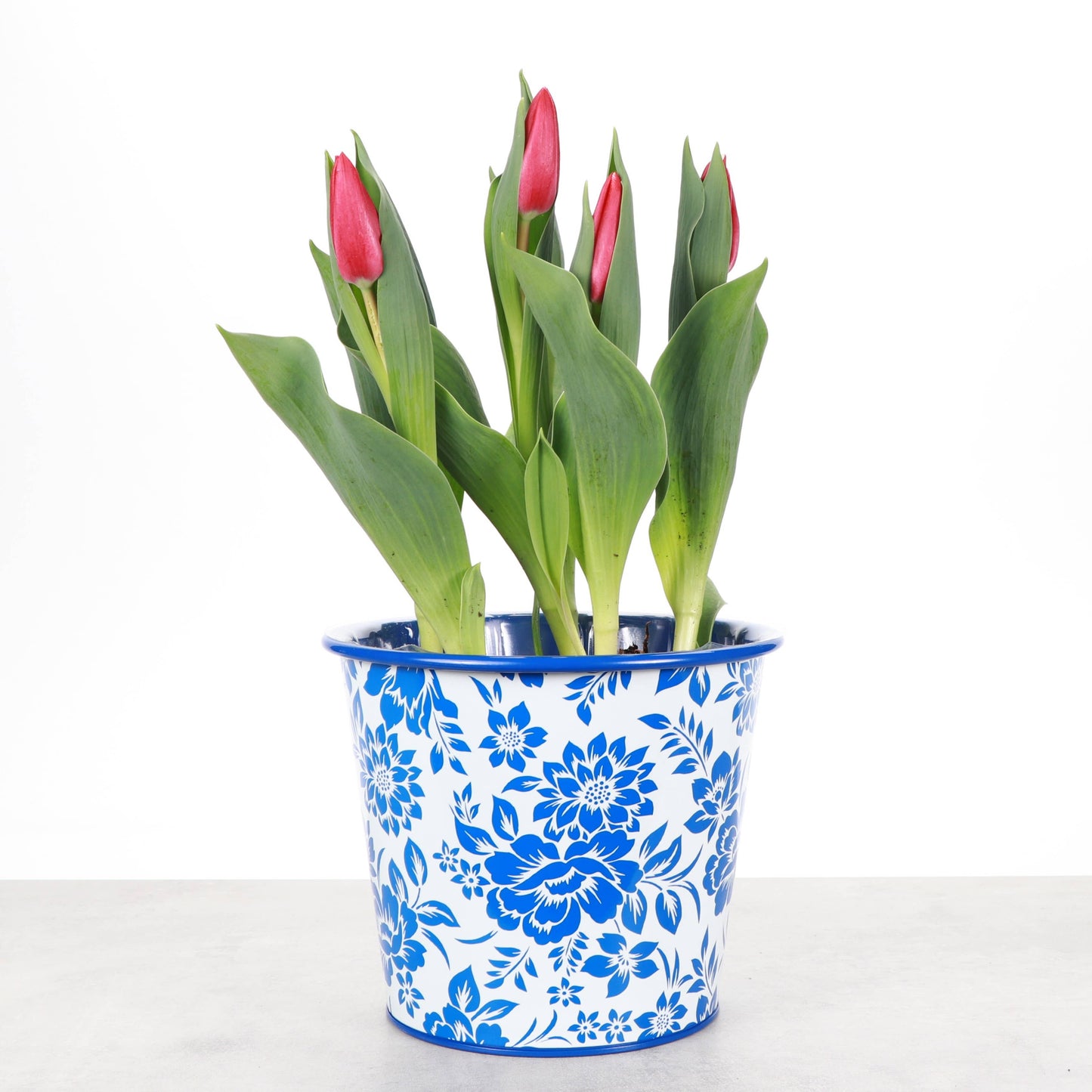 Delft Blue Design Metal Pot for Plants - 6"