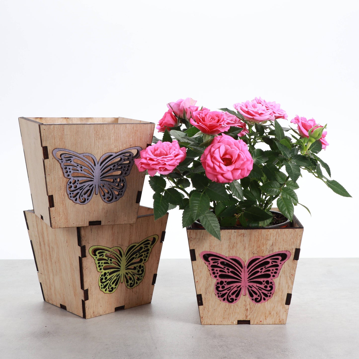 Butterfly Design Wooden Pot for Houseplants - 4" Size