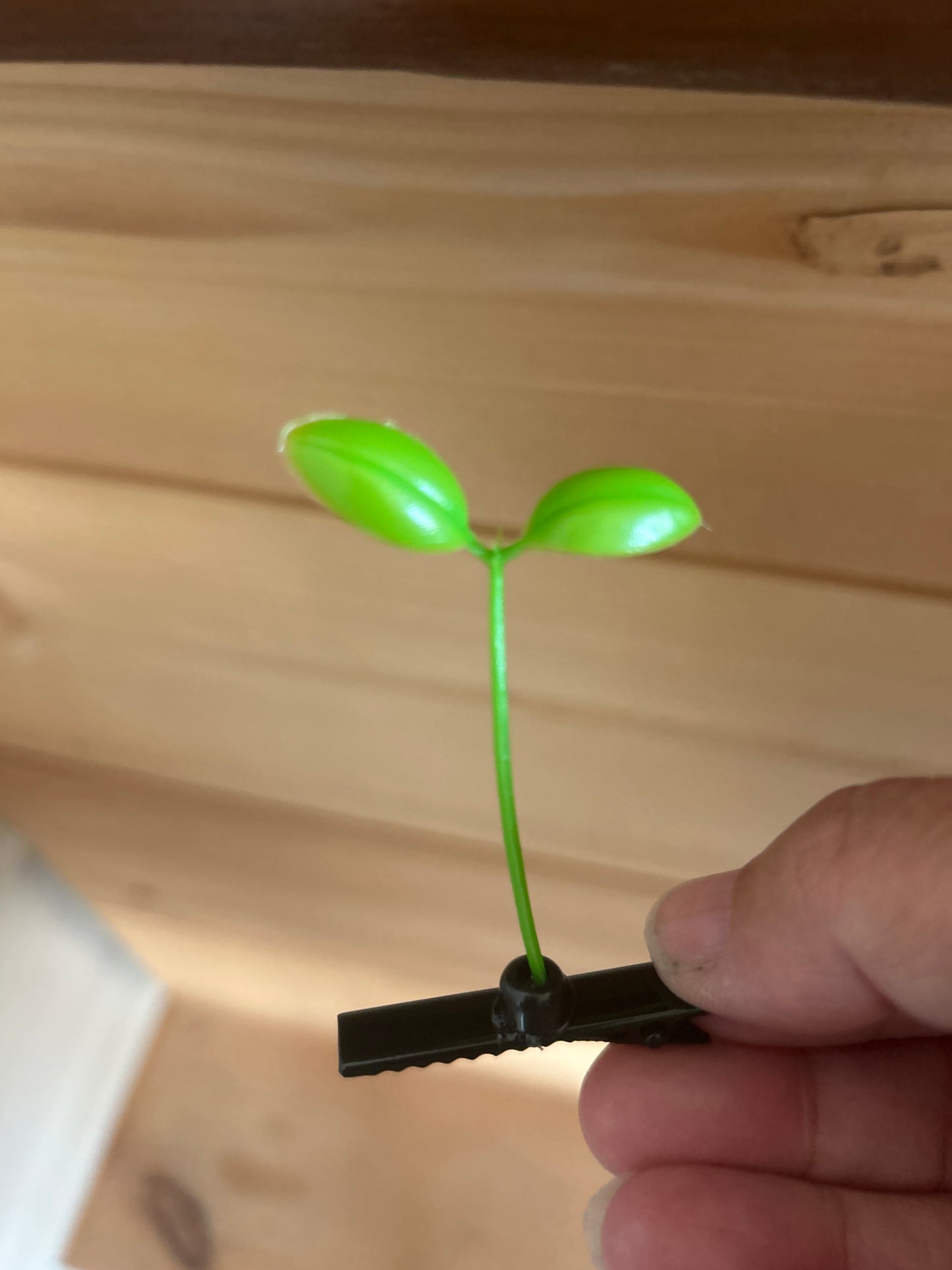 Plant, Flower & Butterfly Clips