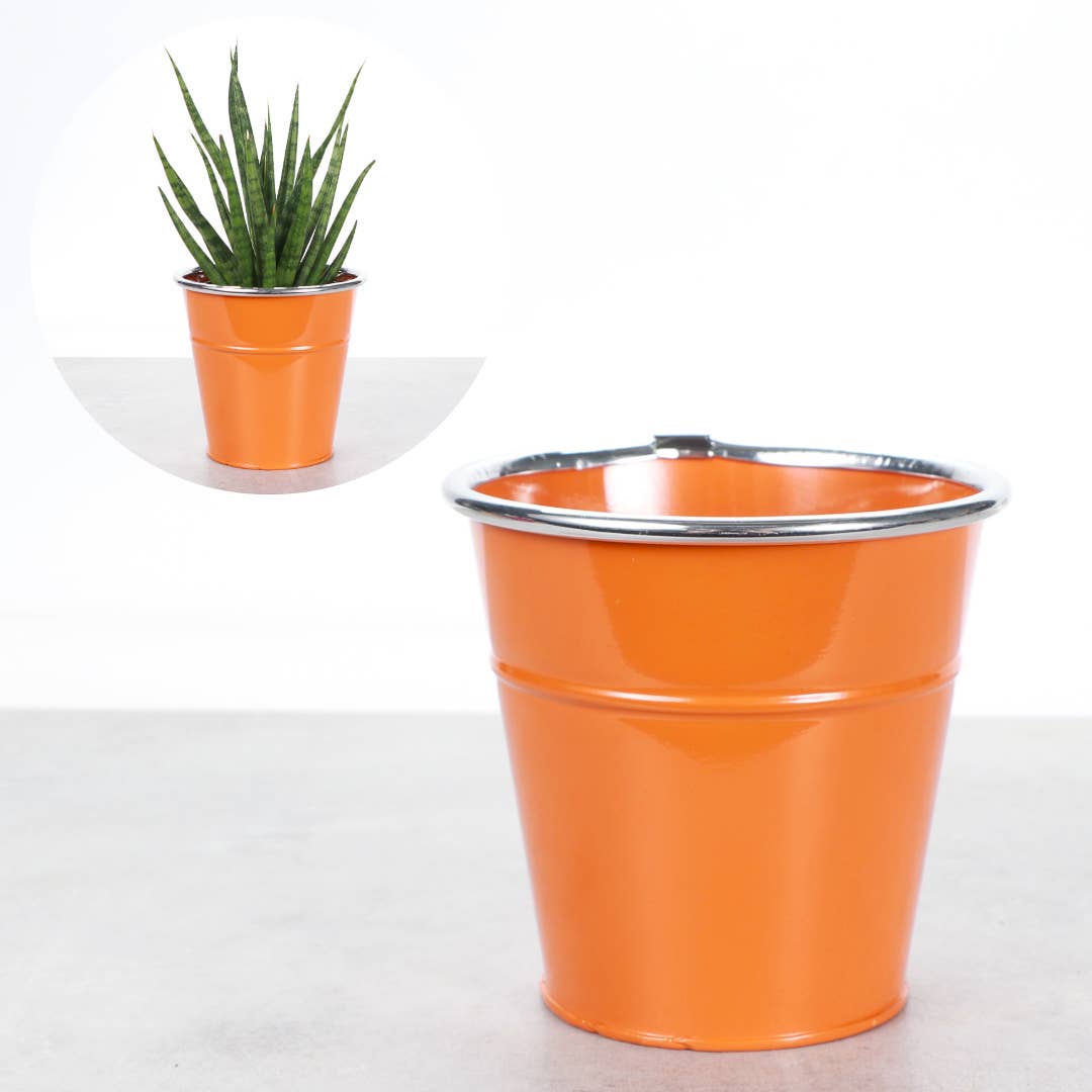 4" Solid Color Metal Pot Cover for Plants