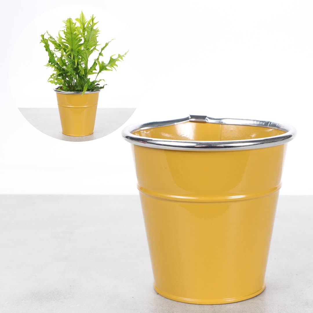 4" Solid Color Metal Pot Cover for Plants
