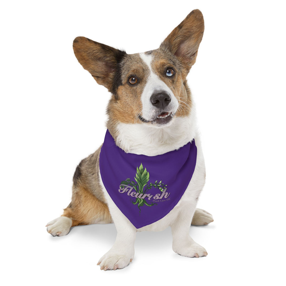 Fleurish Pet Bandana Collar