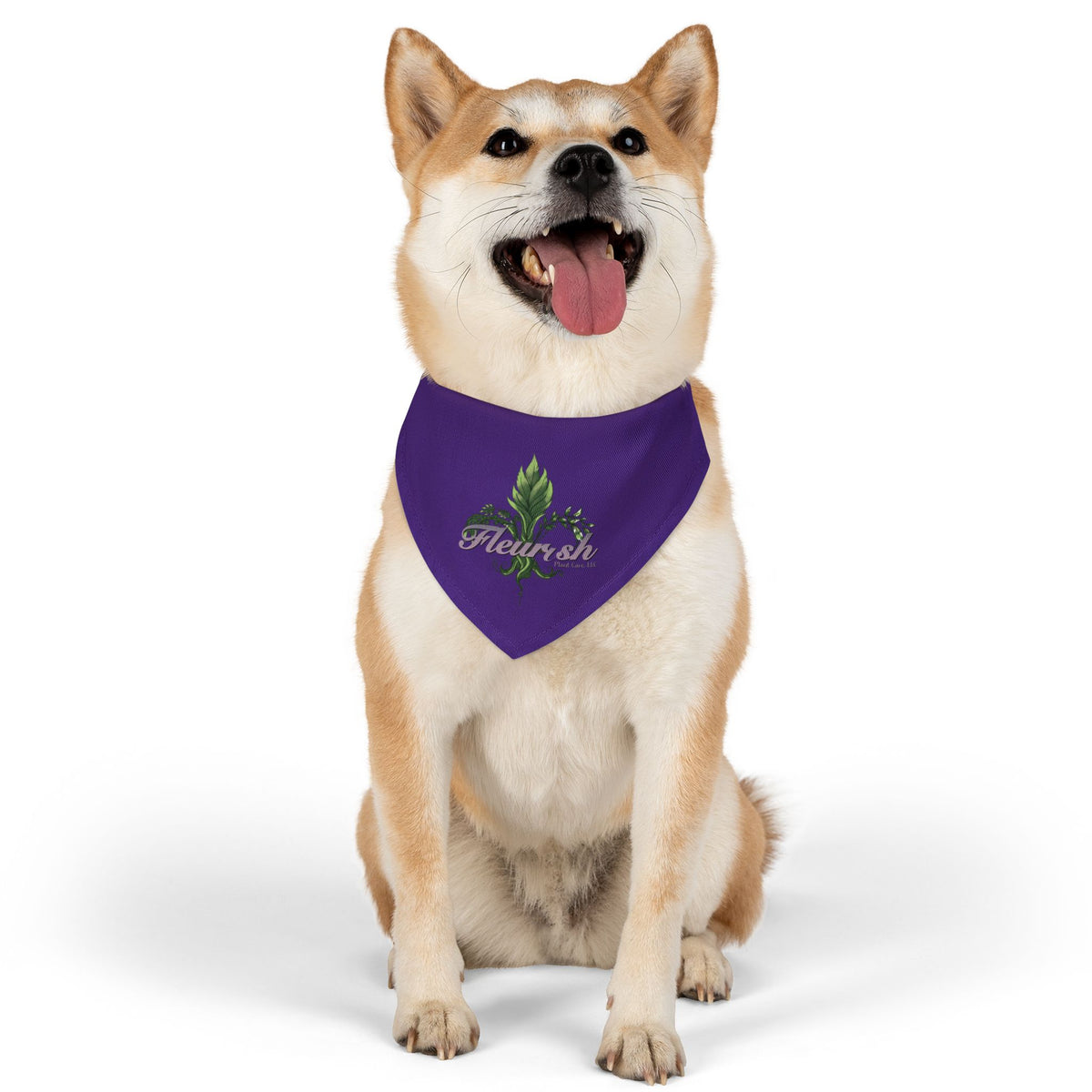 Fleurish Pet Bandana Collar