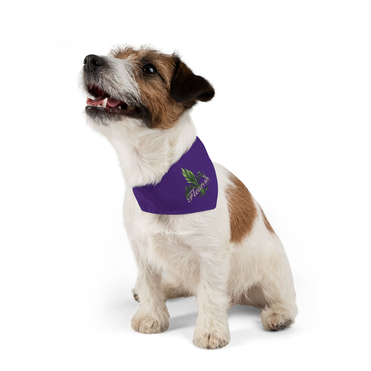 Fleurish Pet Bandana Collar