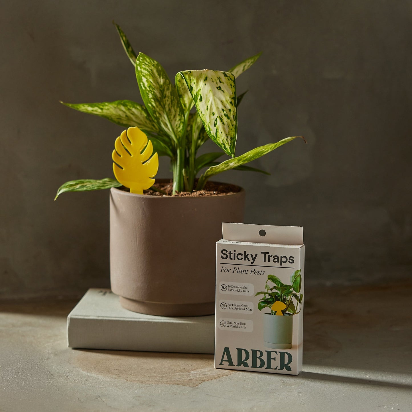 Sticky Traps for Plant Pests - Fleurish Plant Care, LLC