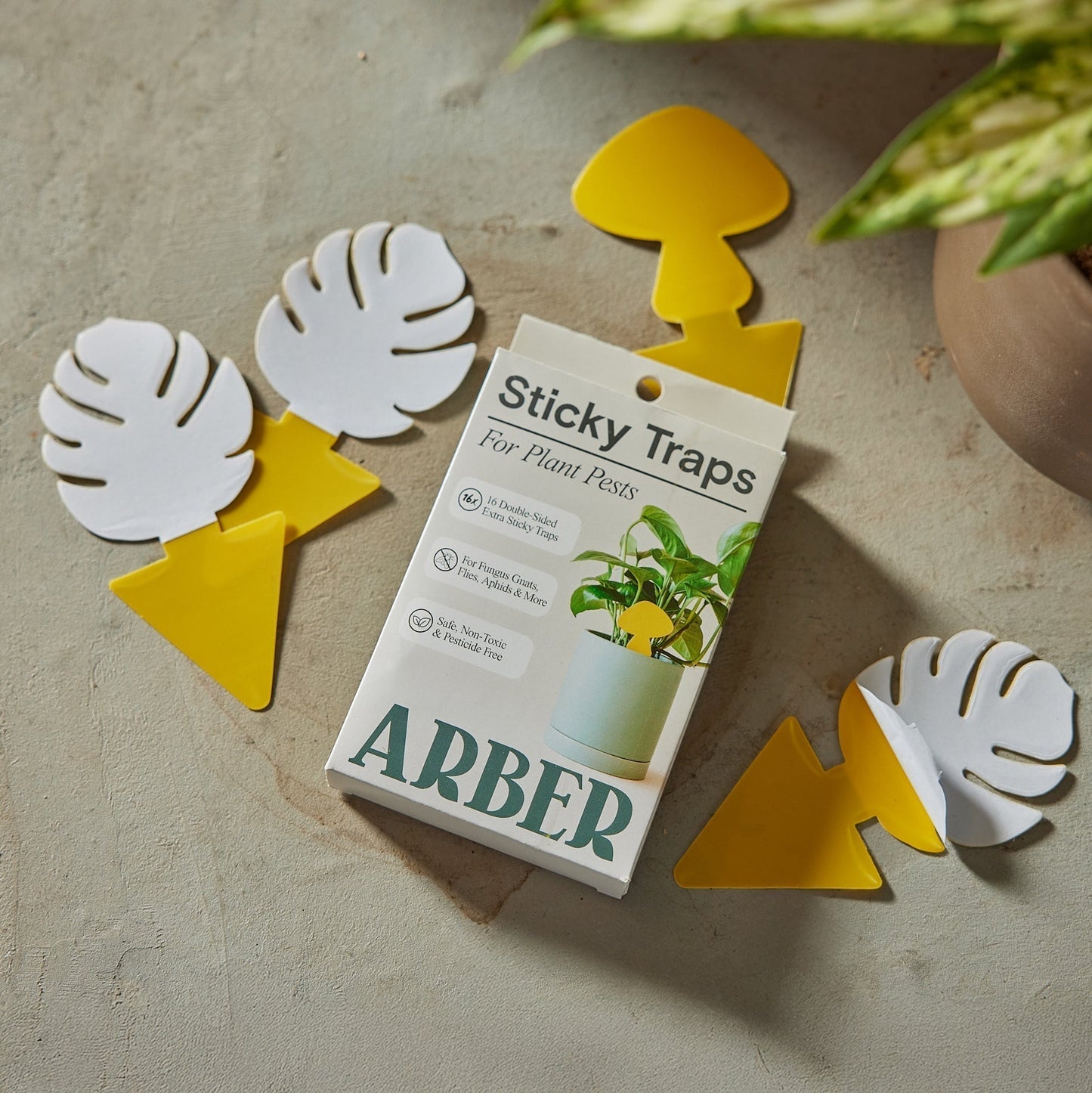 Sticky Traps for Plant Pests - Fleurish Plant Care, LLC