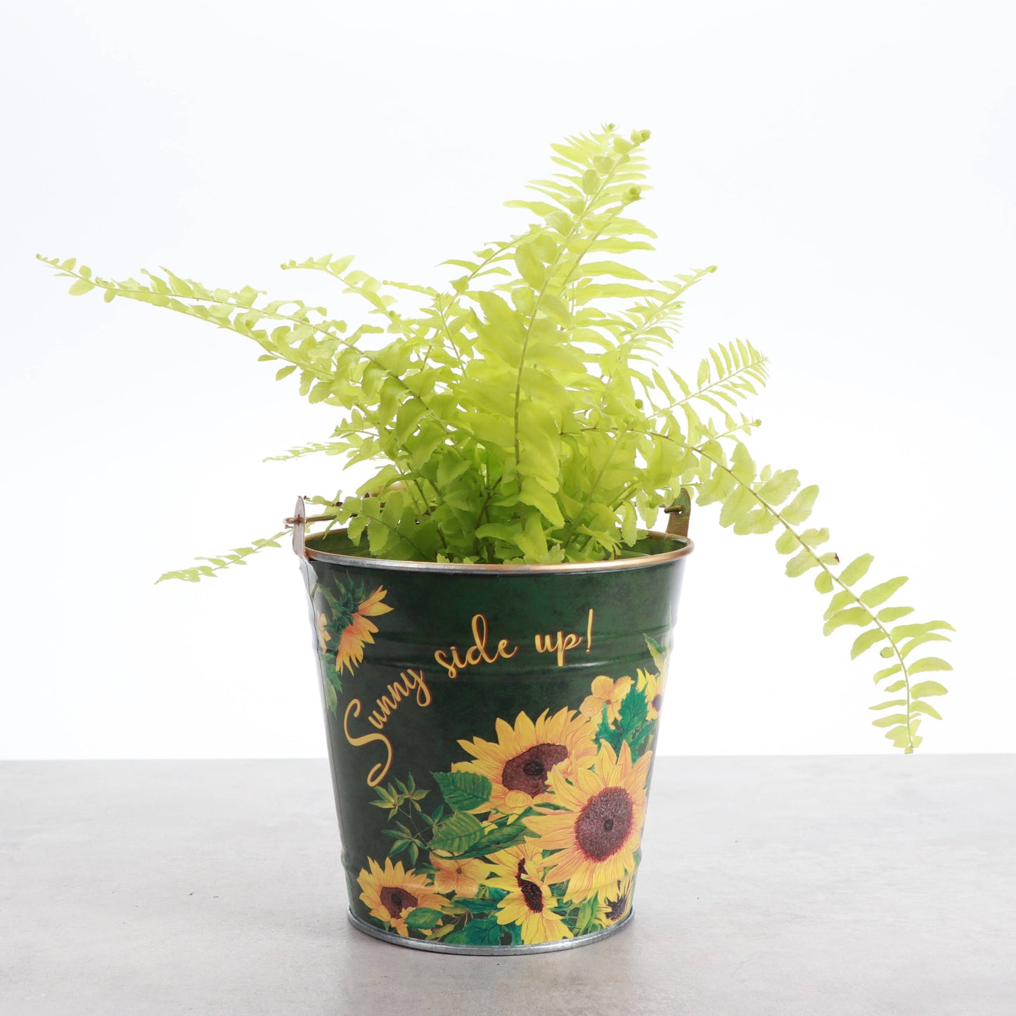 4" Sunflower Design Metal Pot for Houseplants - 2 Designs