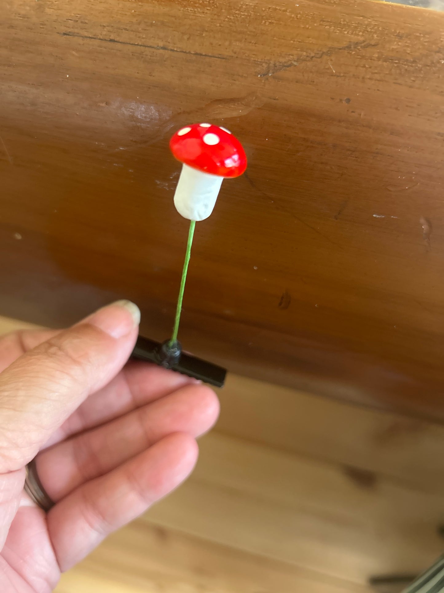 Plant, Flower & Butterfly Clips