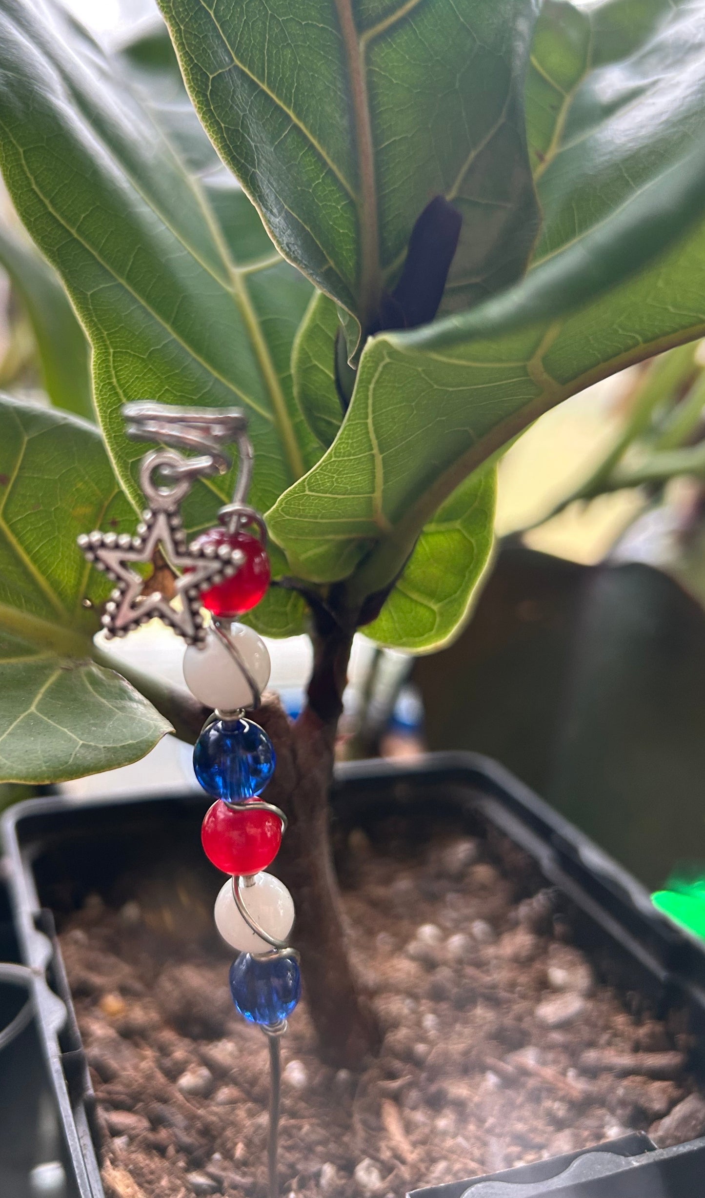 Charmed Red, White, and Blue