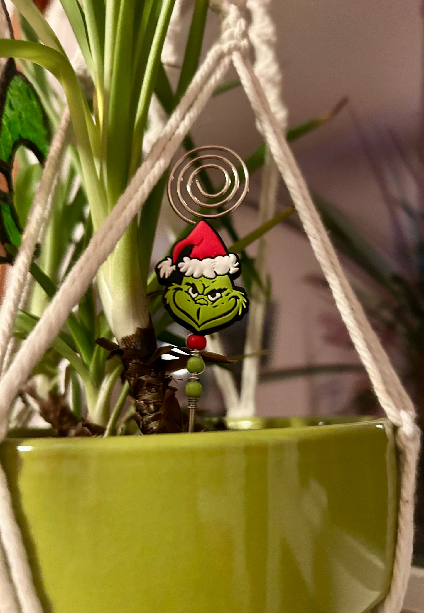 Grinch Plant Jewelry – Holiday Stocking Stuffer 🌱💚