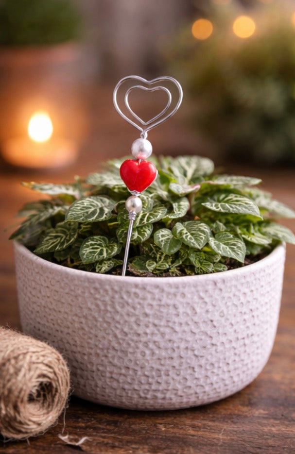 ❤️ Heart Plant Jewelry Pick