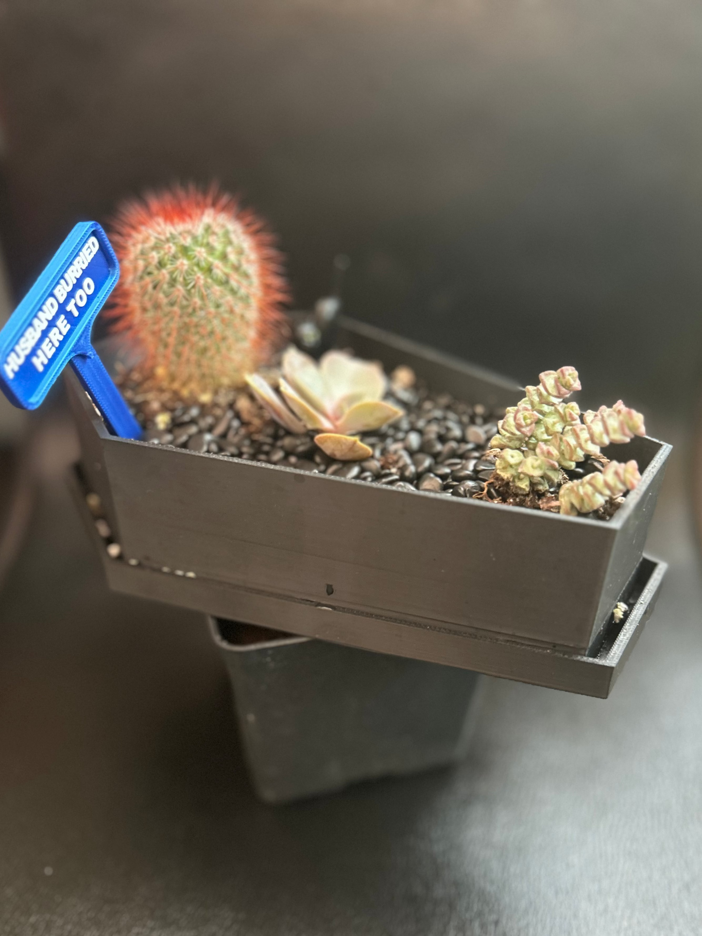 Spooky Coffin Planter