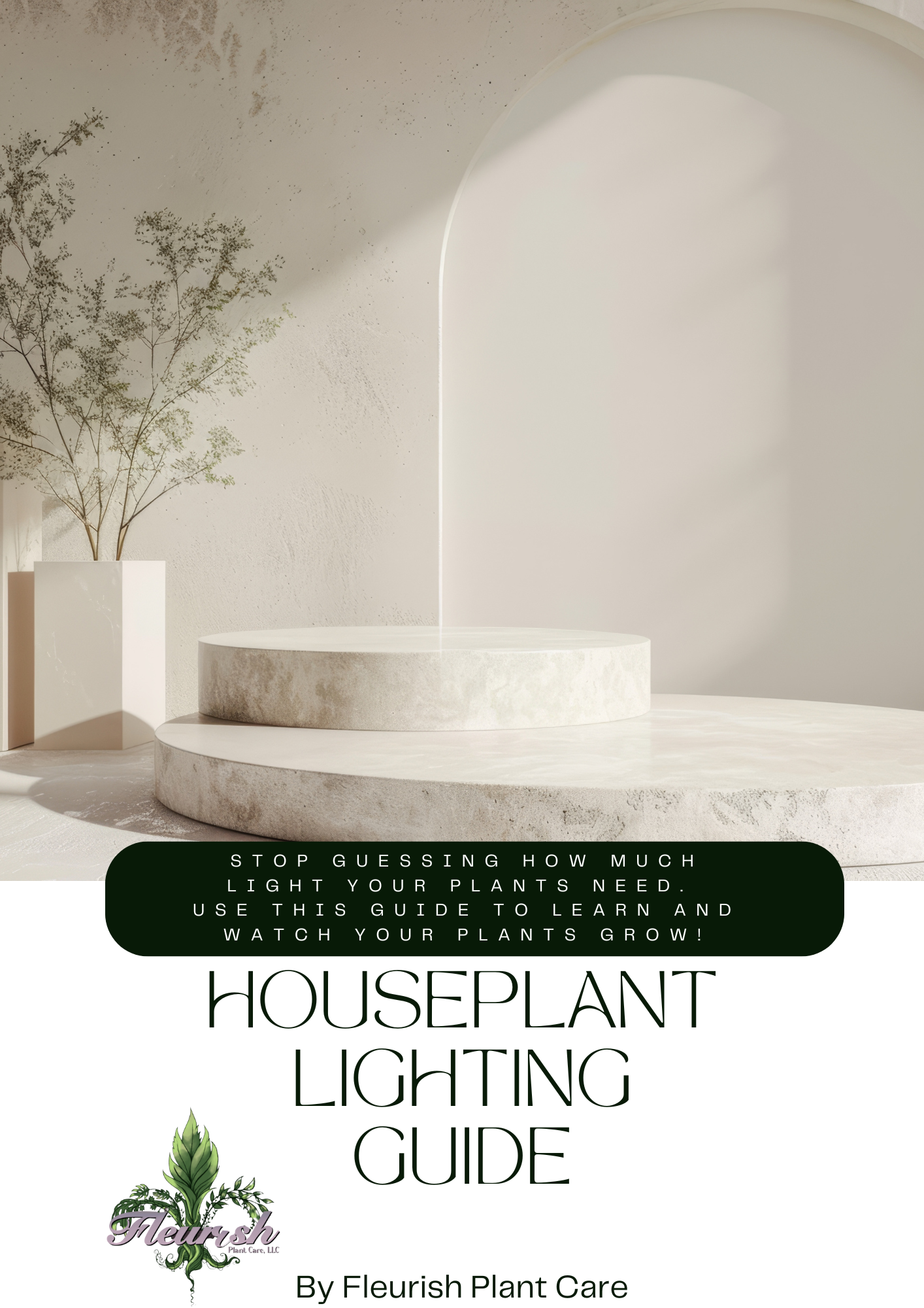 Houseplant Lighting Guide