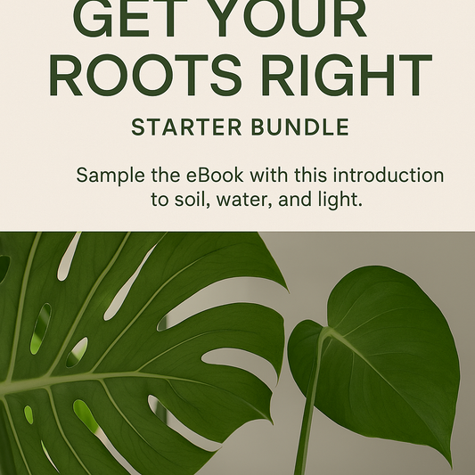 Starter Bundle — “Get Your Roots Right”