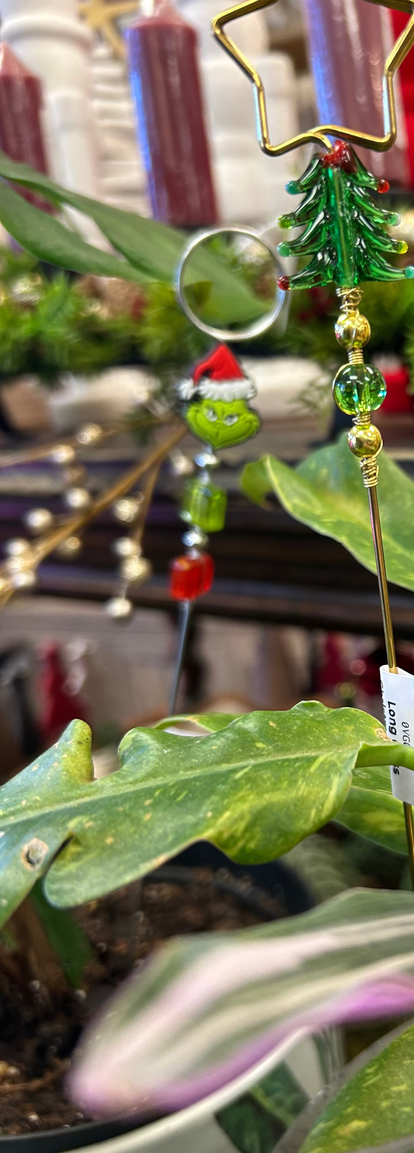 Grinch Plant Jewelry – Holiday Stocking Stuffer 🌱💚