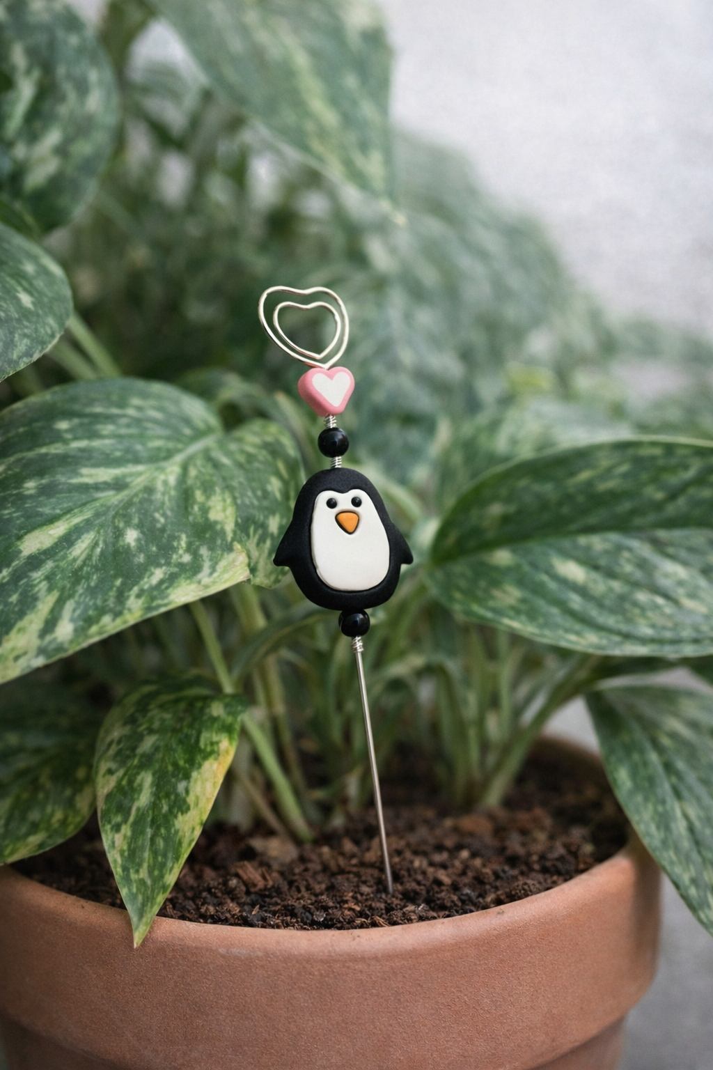 Will you be my Penguin?