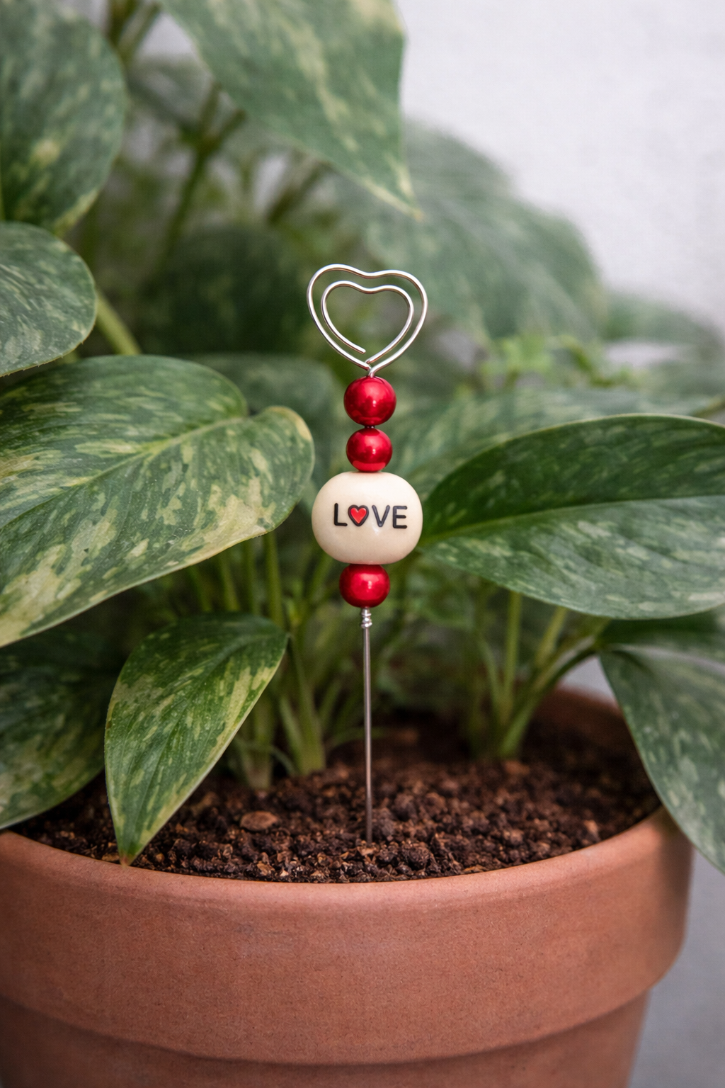 For the love of Plants