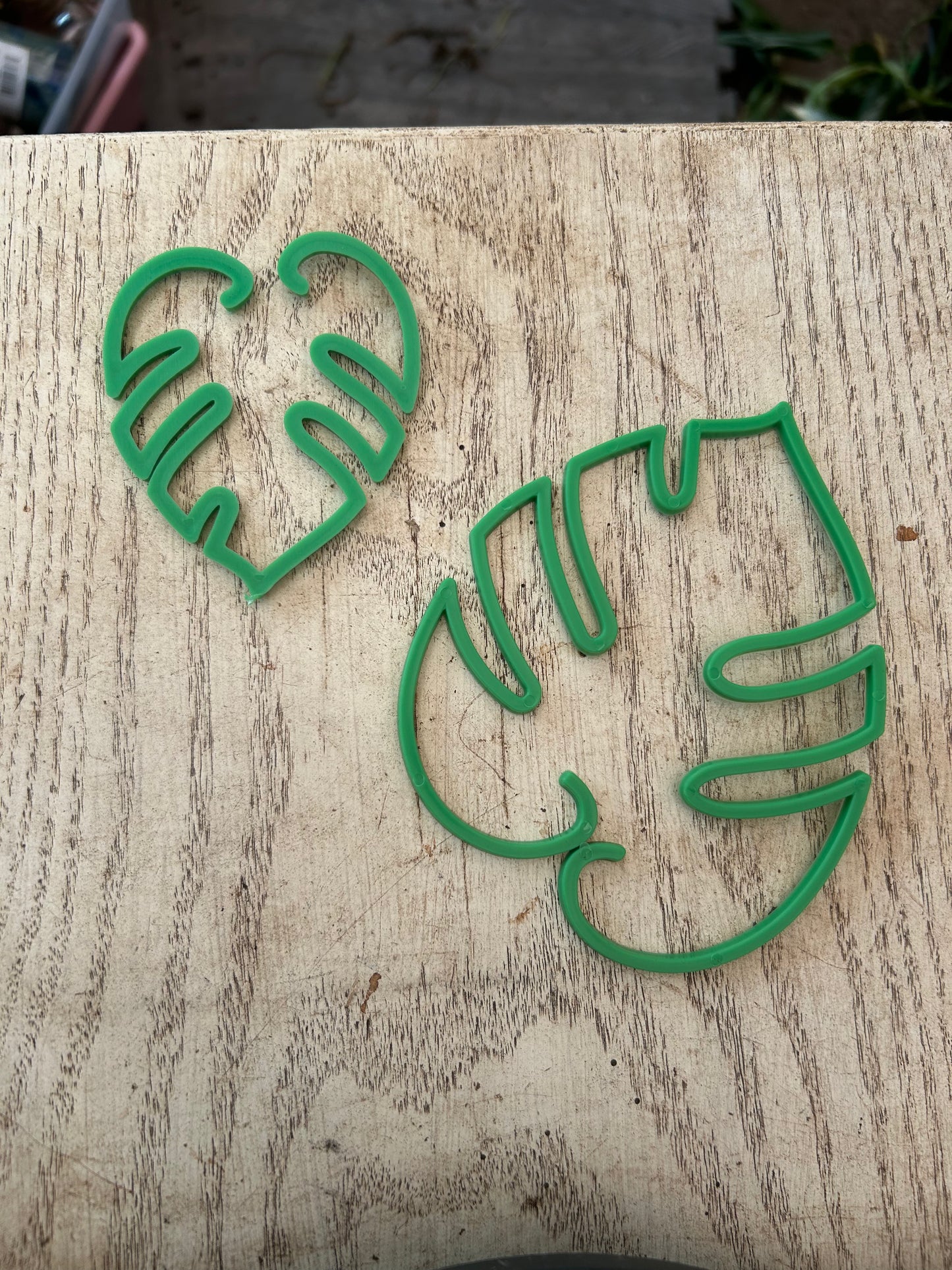 Monstera Leaf Stem Holder Set (2 Sizes) 🌿