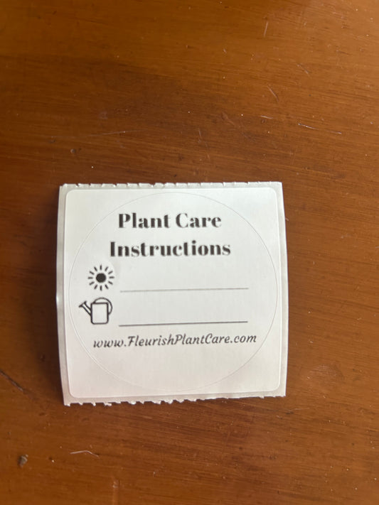 🌿 Plant Care Instruction Stickers 🌿