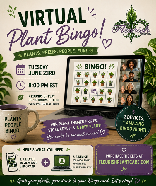 Virtual Plant Bingo Seat