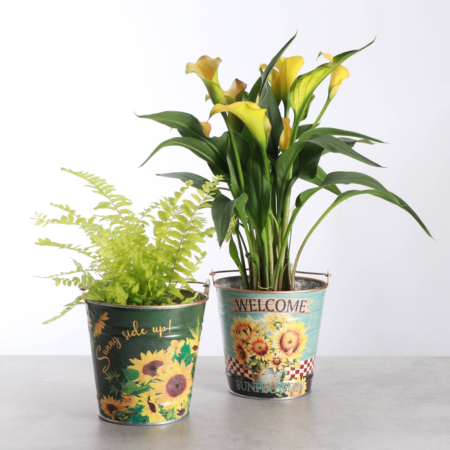 4" Sunflower Design Metal Pot for Houseplants - 2 Designs