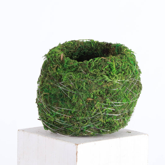 🌿 Preserved Moss Kokedama Planter