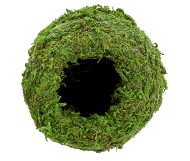 Kokedama Pot for Houseplants
